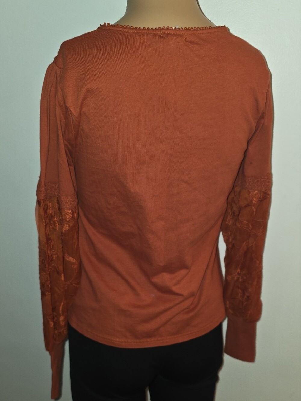 Anthropologie Embroidered Lace Yoke Blouse in Rust - Picture 4 of 9